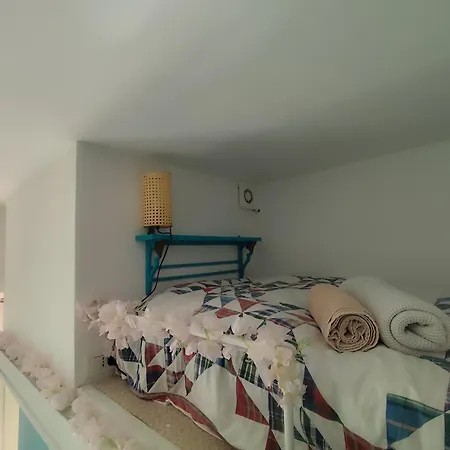 Colosseum Flat Blue *