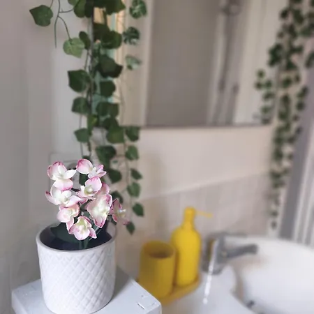 Colosseum Flat Blue 公寓 *