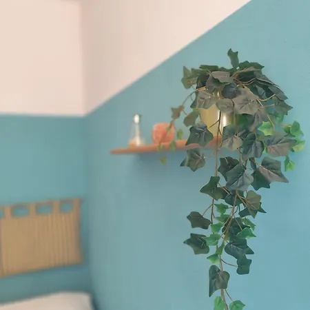 Colosseum Flat Blue *