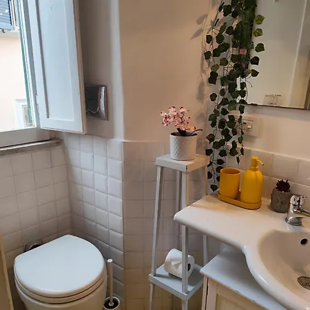 Διαμέρισμα Colosseum Flat Blue *